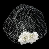 SassB Jasmine Birdcage Veil
