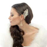 Briella Crystal Chandelier Earrings